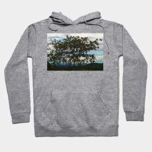 blla silhouette tree Hoodie